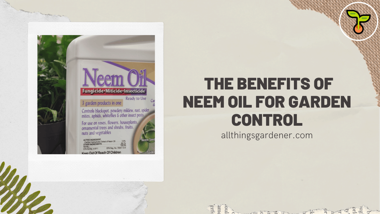 Neem oil for garden control 1