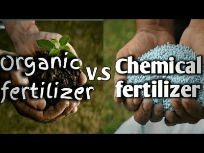Fertilizer for plant 3