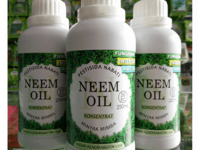 Neem oil for garden control