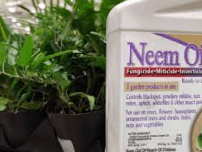 Neem oil for garden control 2
