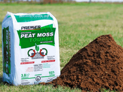 Peat moss as soil amendment 2