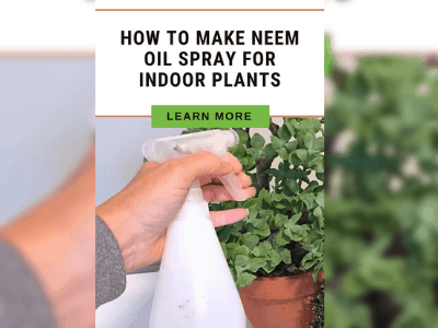 Neem oil for garden control 5