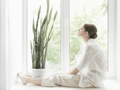 Snake plant improve sleep 5