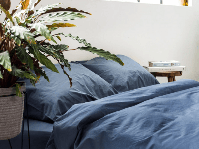 Snake plant improve sleep 4