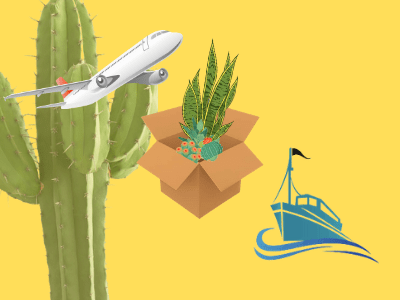 Shipping plants 2