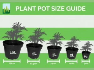 Different pot sizes