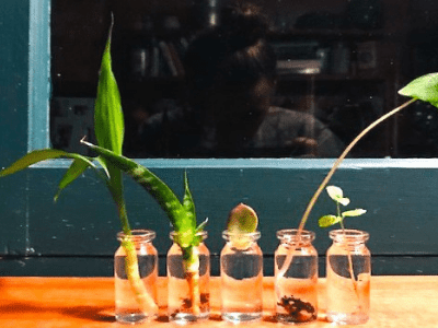 Propagation for kids