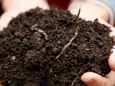 Best potting soil 8