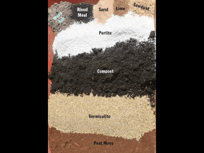 Best potting soil