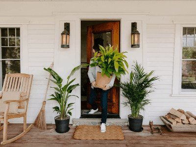 Moving houseplants outside in spring