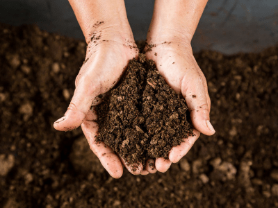 Soil amendment 5