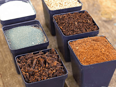 6 Types Of Garden Soil Amendments For Your Garden’s Improved Soil Medium