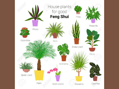 Feng shui 2