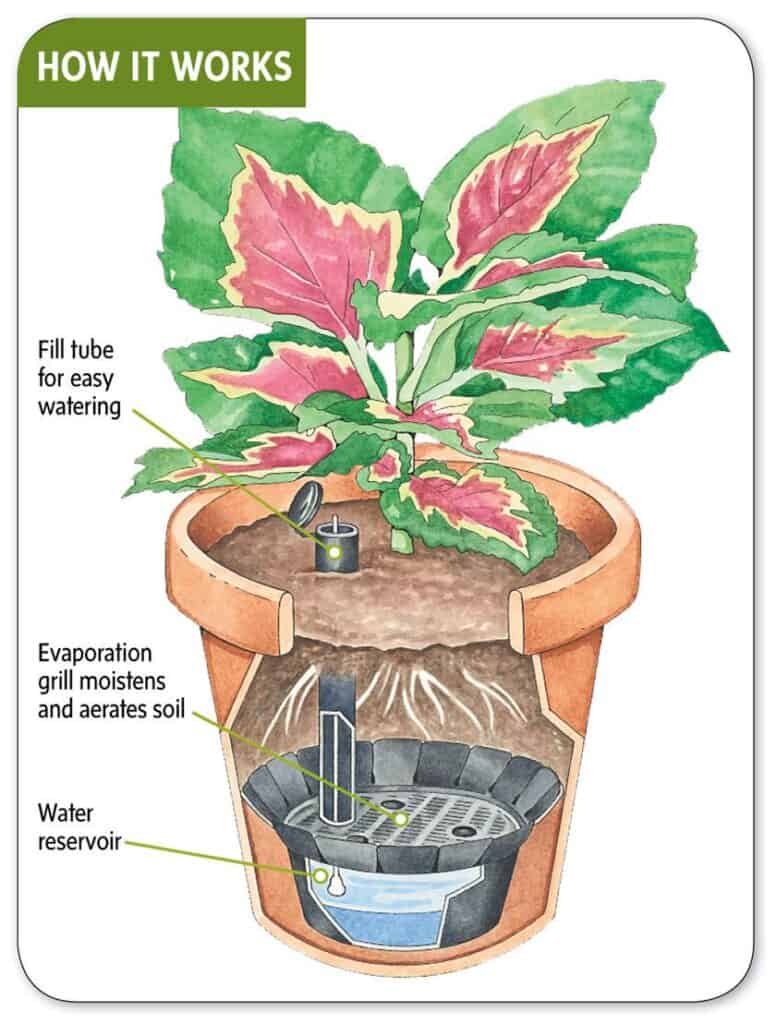 Self-watering pot
