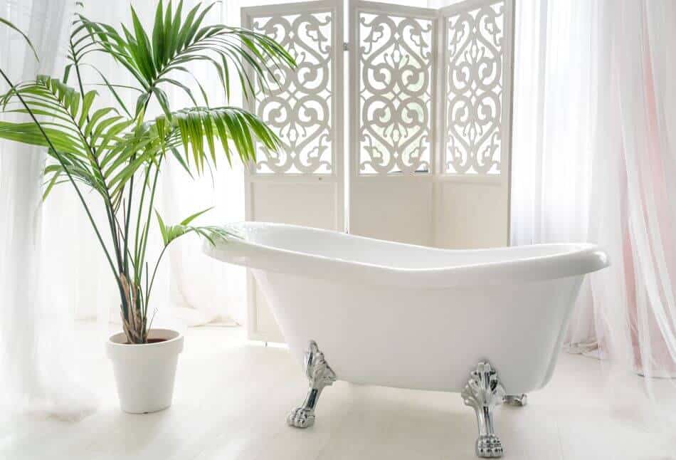 The 8 Best Feng Shui Plants for Your Bathroom (2022)