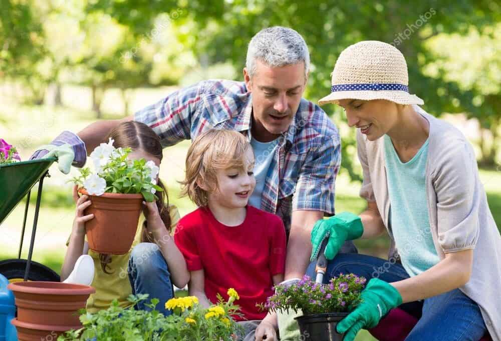 5 Amazing Benefits of Gardening You Could Get During This Pandemic Time (2021)