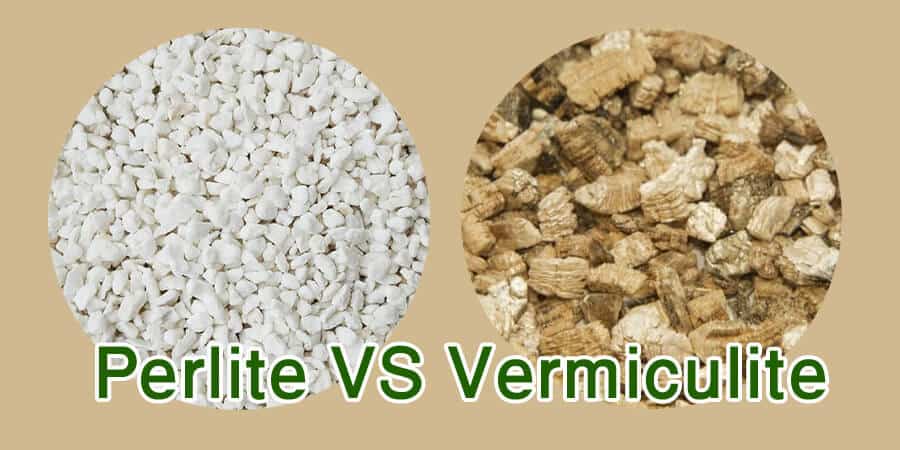 Vermiculite 3