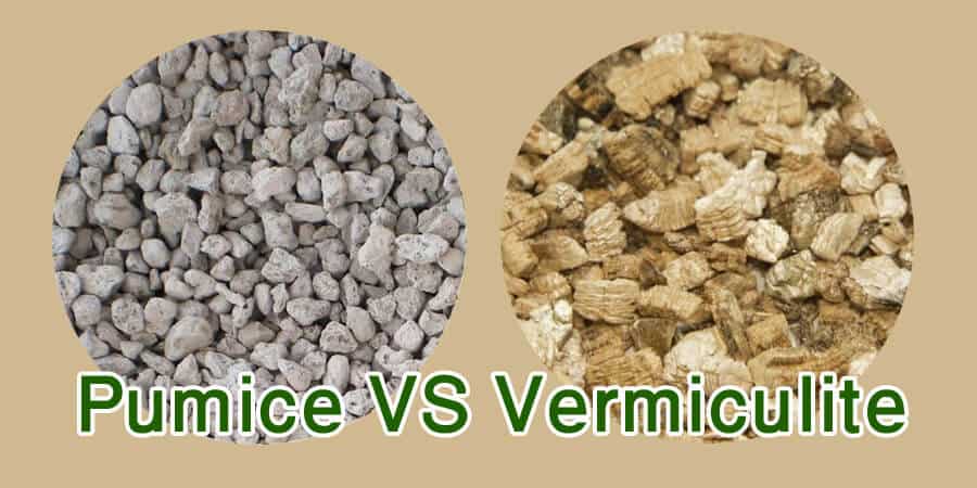 Vermiculite 4