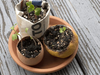 Succulents Planting Seedlings Growing Seeds Starting 100 Pcs labworkauto 4.0 Seedling Pots Plastic Plant Pots Seedling Cups Nursery Pots Plant Container Fit for Seeds Germination 