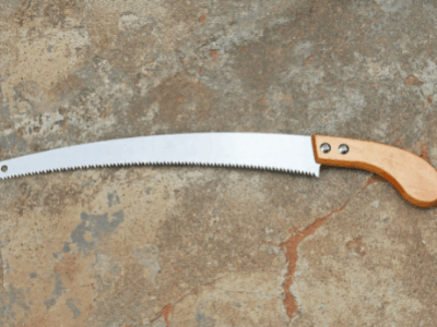 Best pruning saw