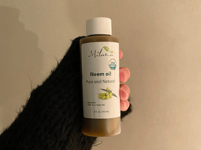 Best neem oil for plants