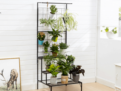 Plant stand rack