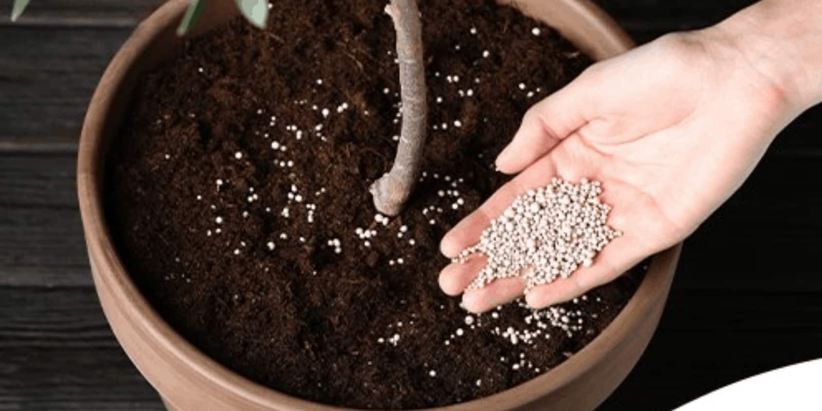 Fertilizer for indoor plants