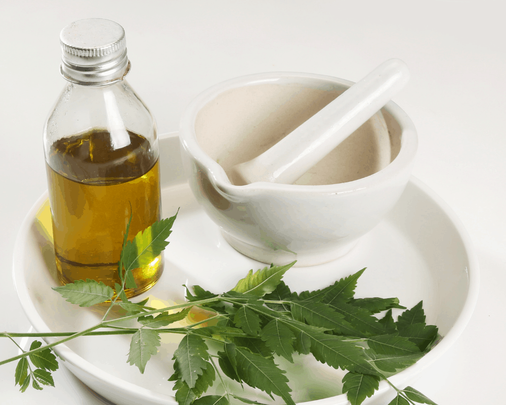 The Best Neem Oil For Plants You Should Have Now! (2021)