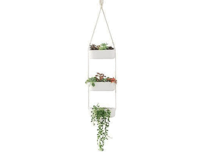 Wall planter