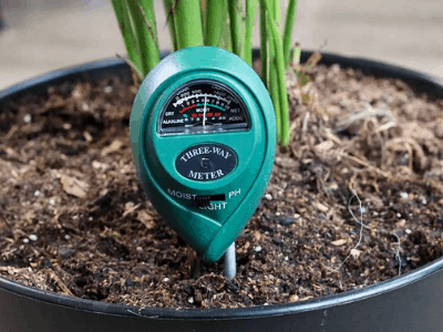 Best soil moisture meter