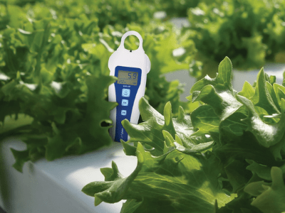 Best soil moisture meter