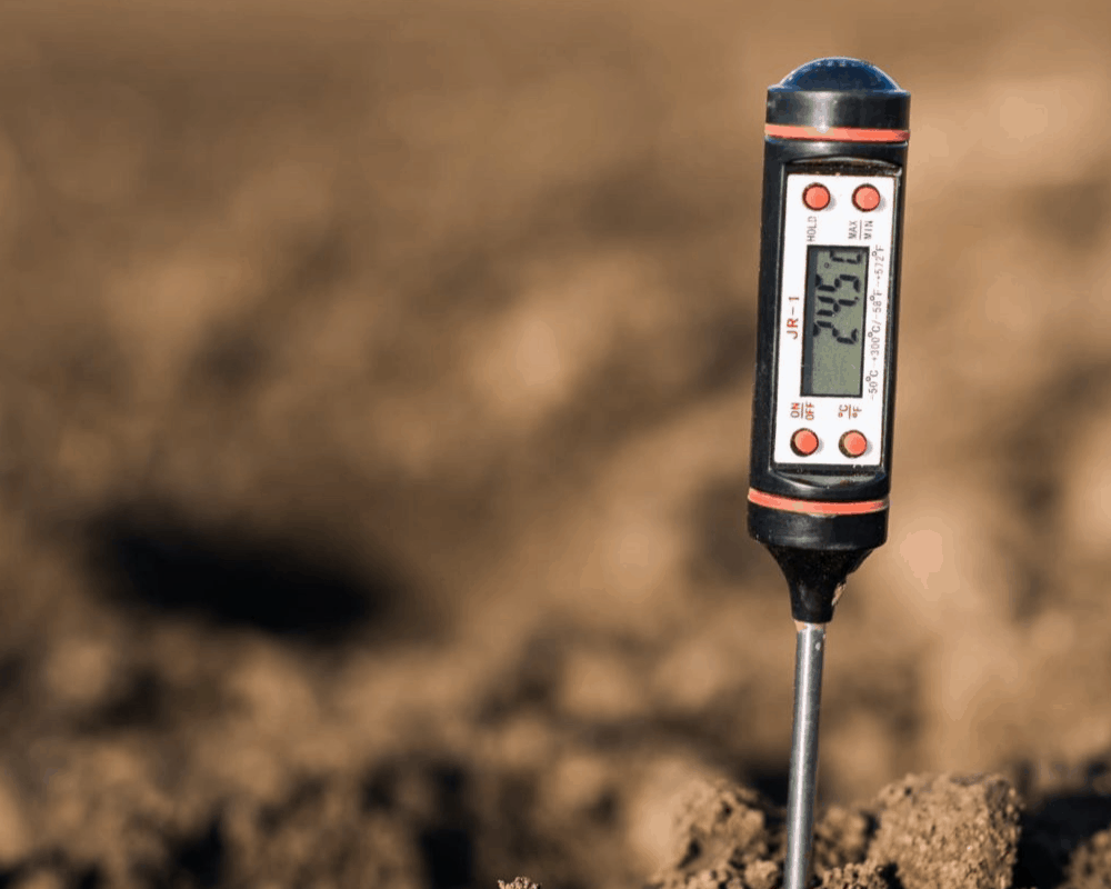 The Best Soil Moisture Meter: Maintain Your Plants Very Well (2021)