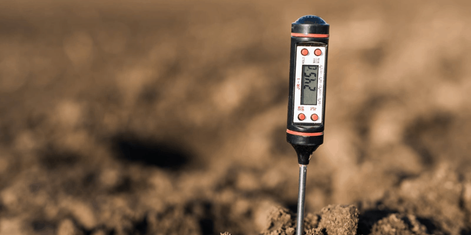 Best soil moisture meter