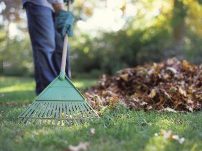 Garden rake 1