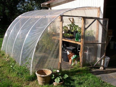 Greenhouse kits amazon 1