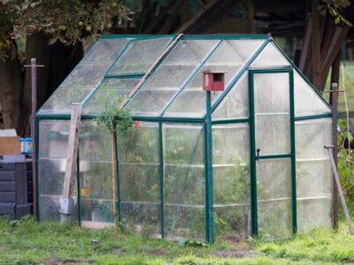 Greenhouse kits amazon 2