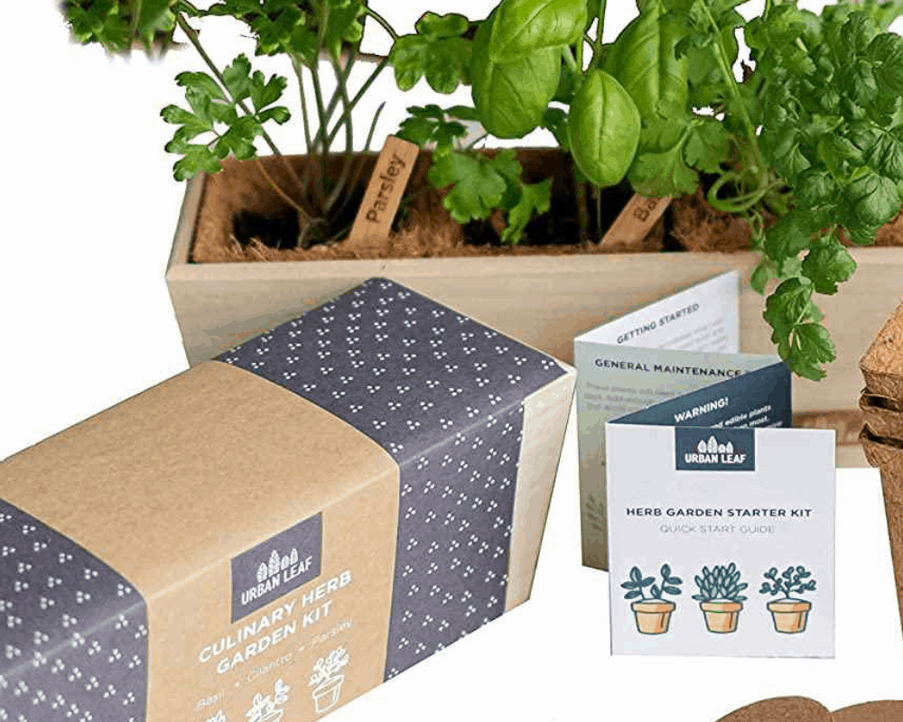 Best Herb Garden Kits of 2021