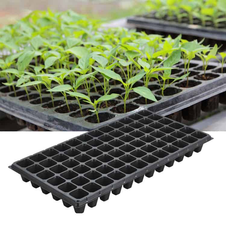 Seed starting trays