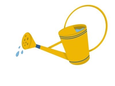 Watering can 3