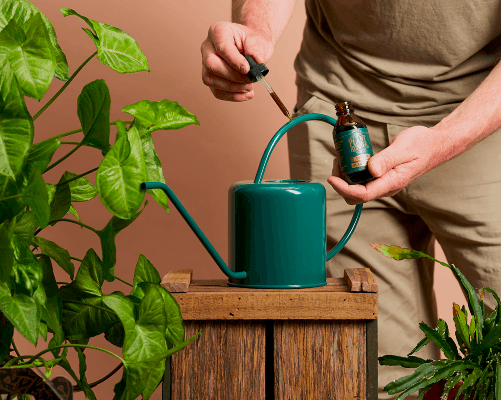 The Best Watering Can You Should Have In 2021!