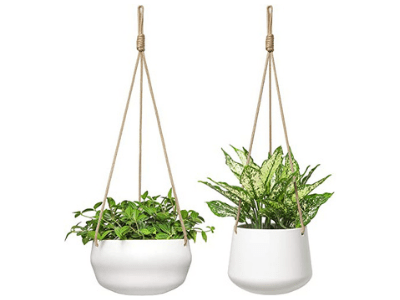 Pots for succulents