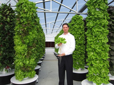 Hydroponic tower 1