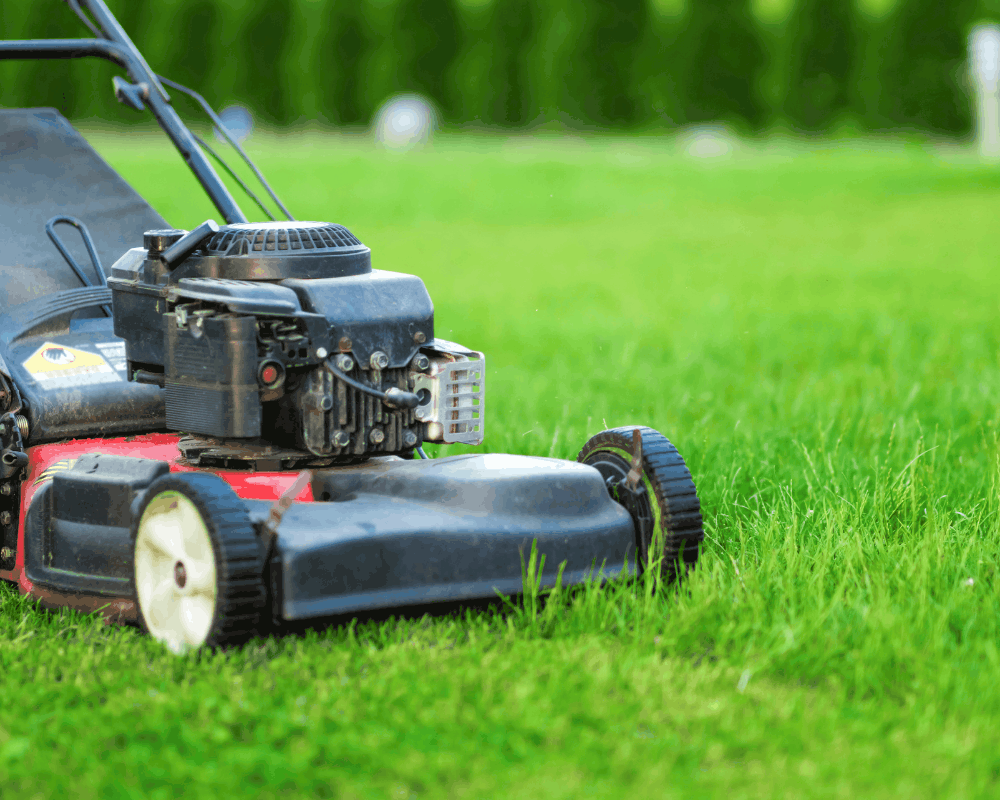 The 5 Best Self-Propelled Lawn Mowers for Easier Yard Care