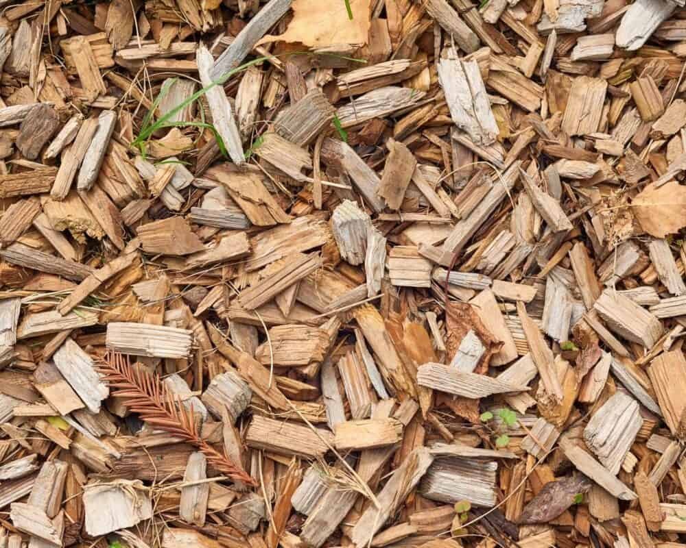 3 Strongest Electric Wood Chipper on Amazon! Special Options For You!