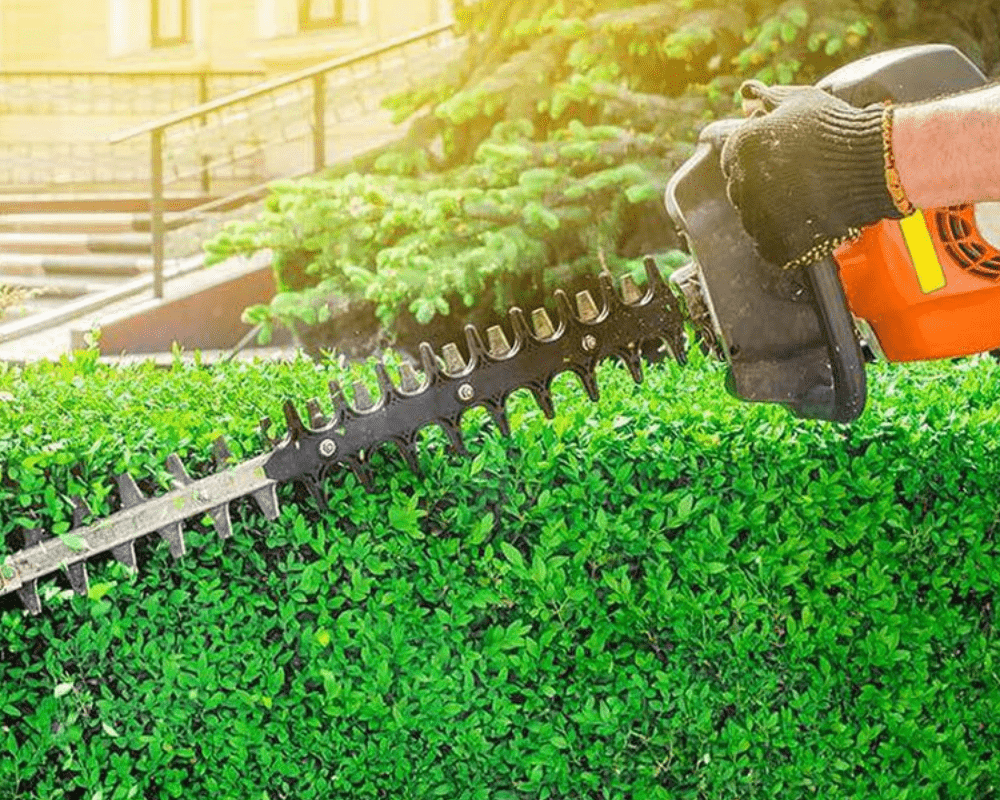 3 Best Gas Hedge Trimmers On Amazon – Top Picks That Are Worth Buying!