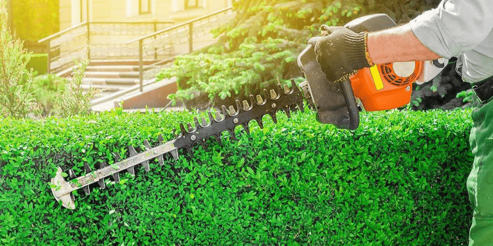 Best gas hedge trimmers on amazon 1
