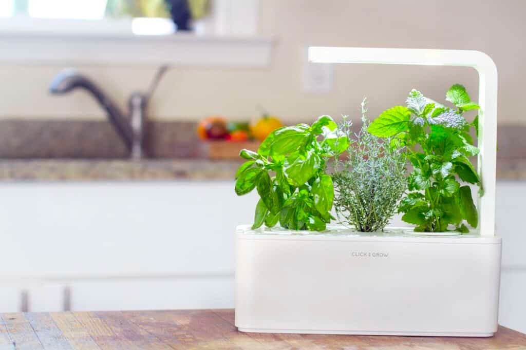 Indoor smart garden