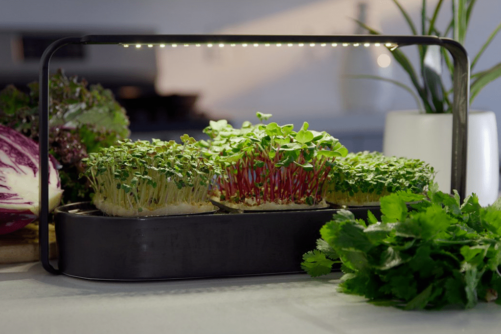 Indoor smart garden 2