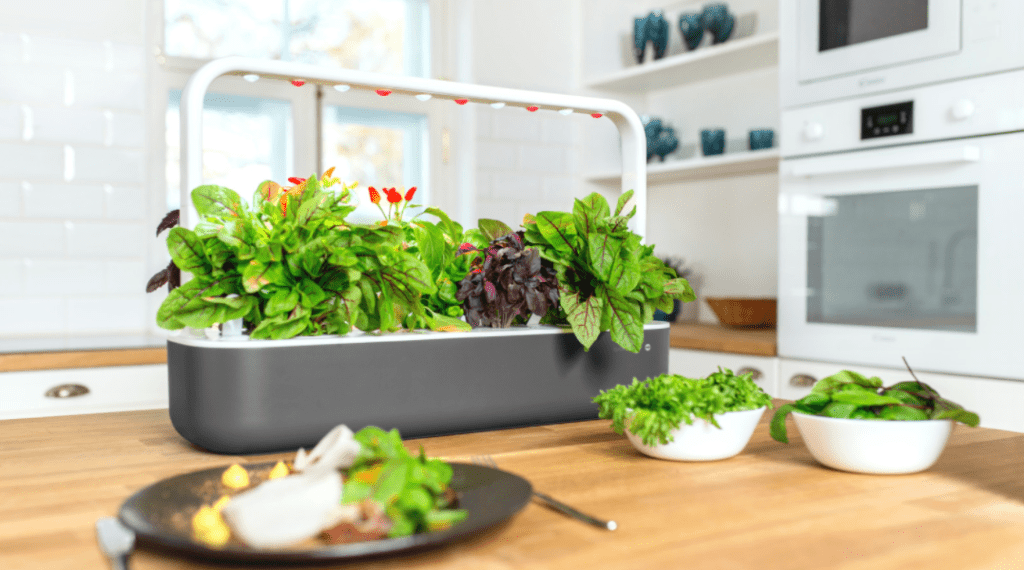 Indoor smart garden 3