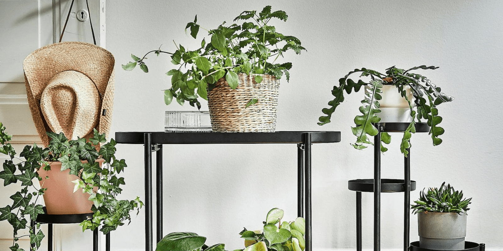 Plant stand 1